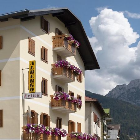 Hotel Erika アウロンツォ・ディ・カドーレ エクステリア 写真